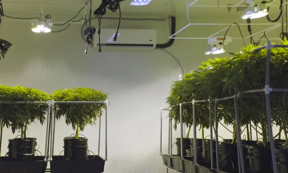Why You Need a Mini Split System in Your Grow Room – Pioneer Official Store
