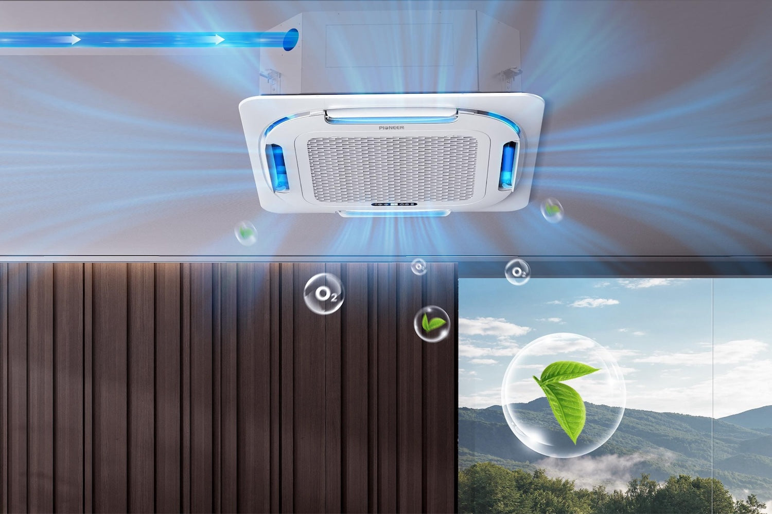 Pioneer Official Store