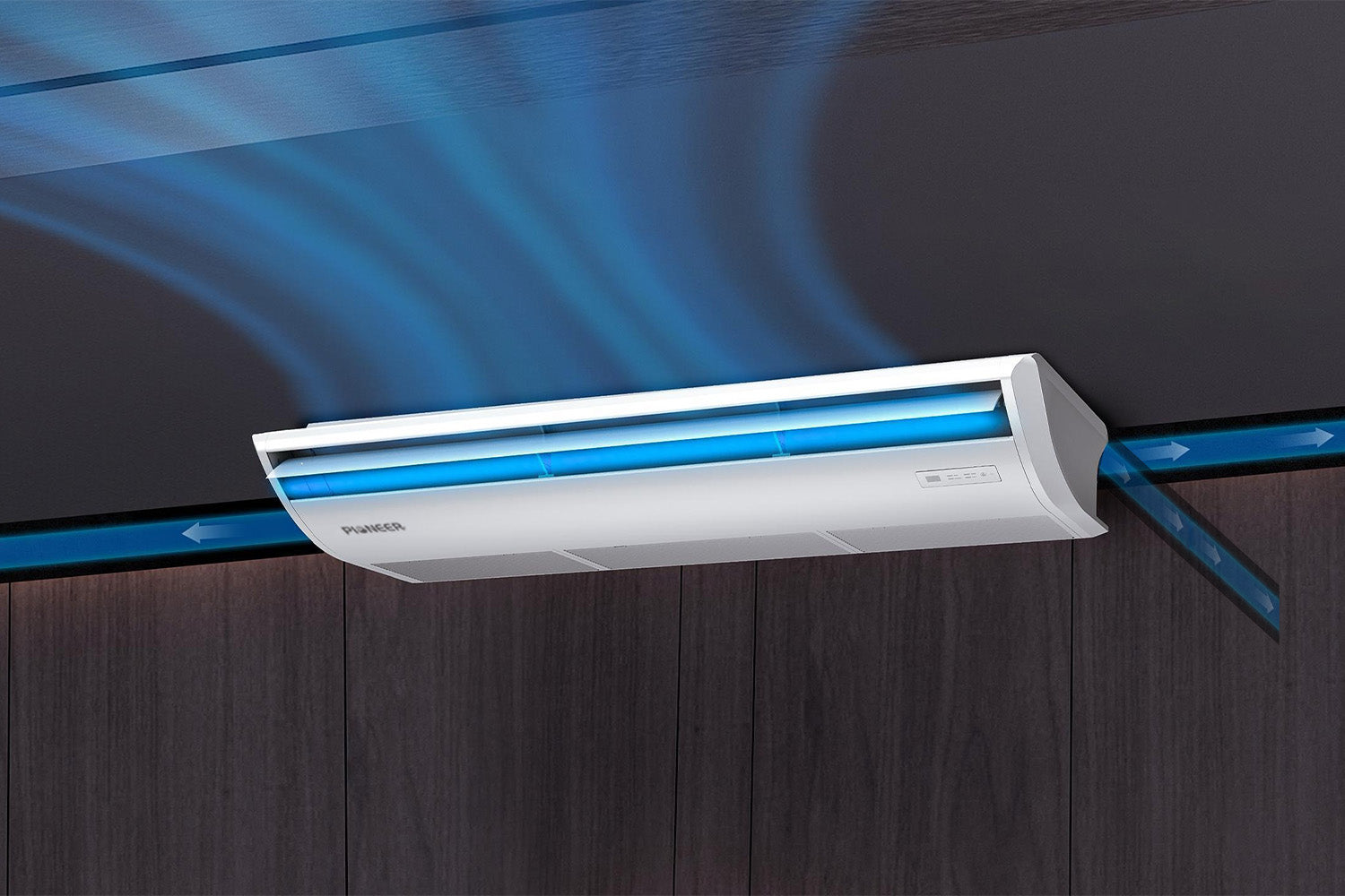 Pioneer Official Store