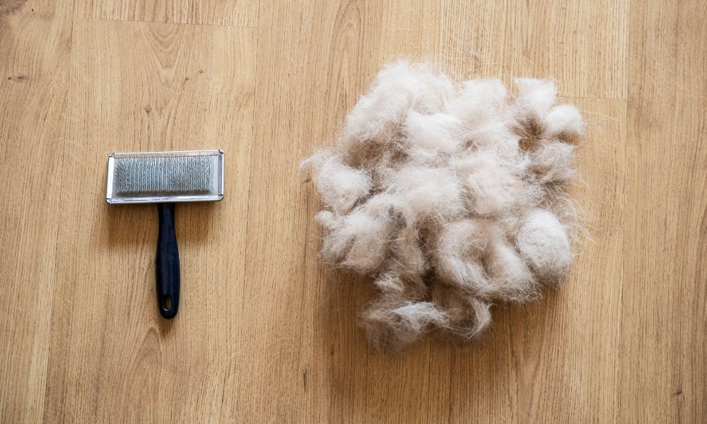 4 Simple HVAC Maintenance Tips for Pet Owners