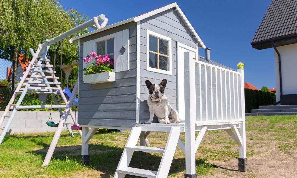 Why Your Doghouse Needs an Air Conditioner
