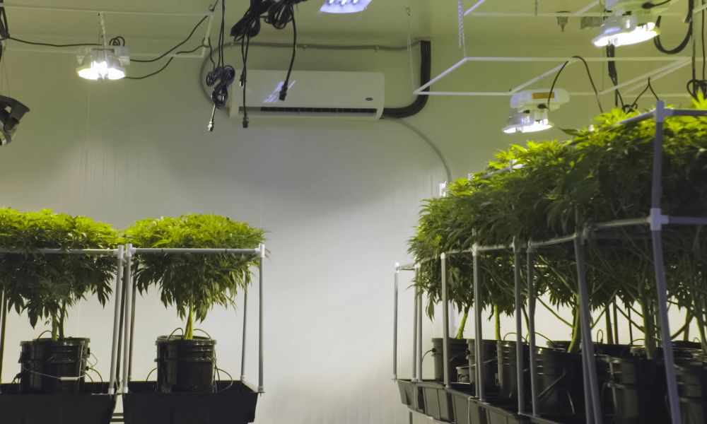 Why You Need a Mini Split System in Your Grow Room