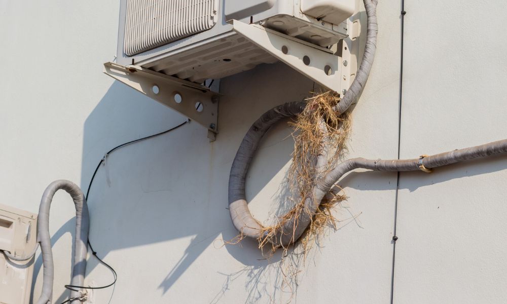 4 Ways Animals Can Damage Your HVAC System