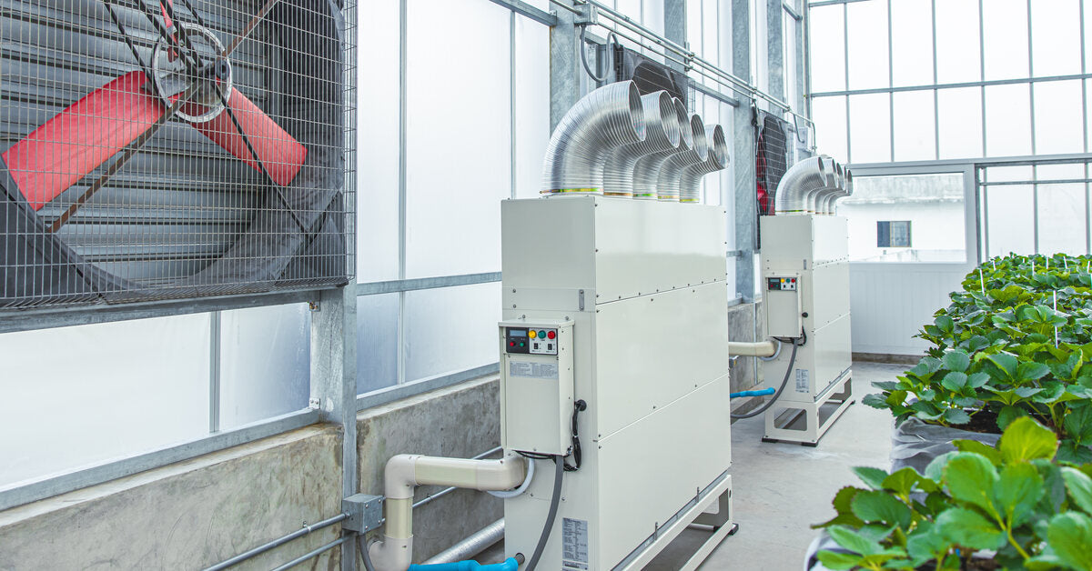 A greenhouse with rows of plants growing inside is equipped with a pipe system and large fans for ventilation.