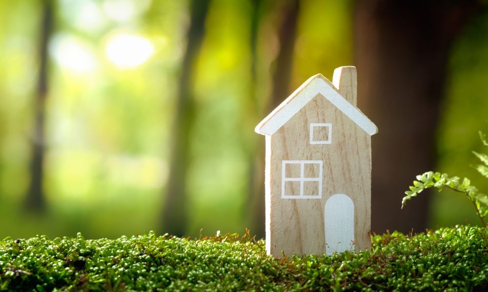 Budget-Friendly Ways to Make Your Home More Eco-Friendly