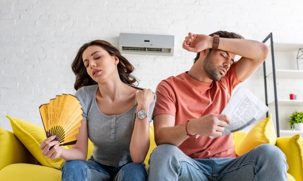 Keeping Healthy Humidity Levels: Why Too Much Can Hurt You