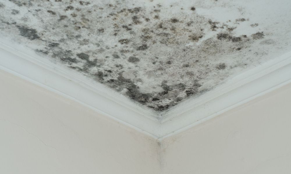 The Most Common Air Pollutants Found in Your Home