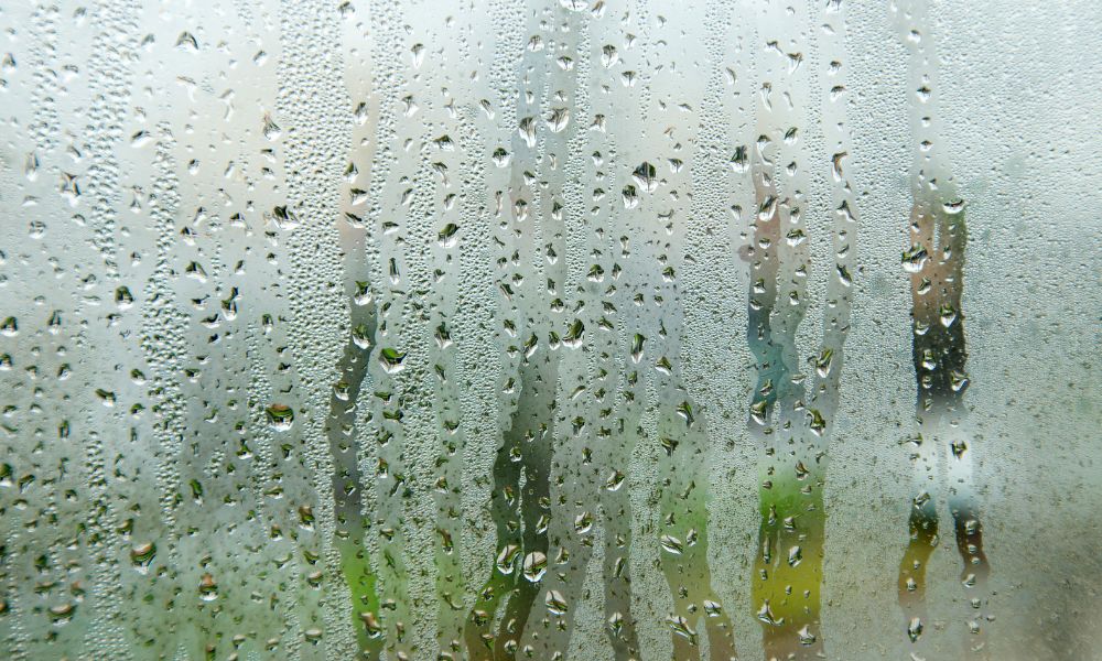 Why Your Windows Are Sweating Indoors and How To Fix It