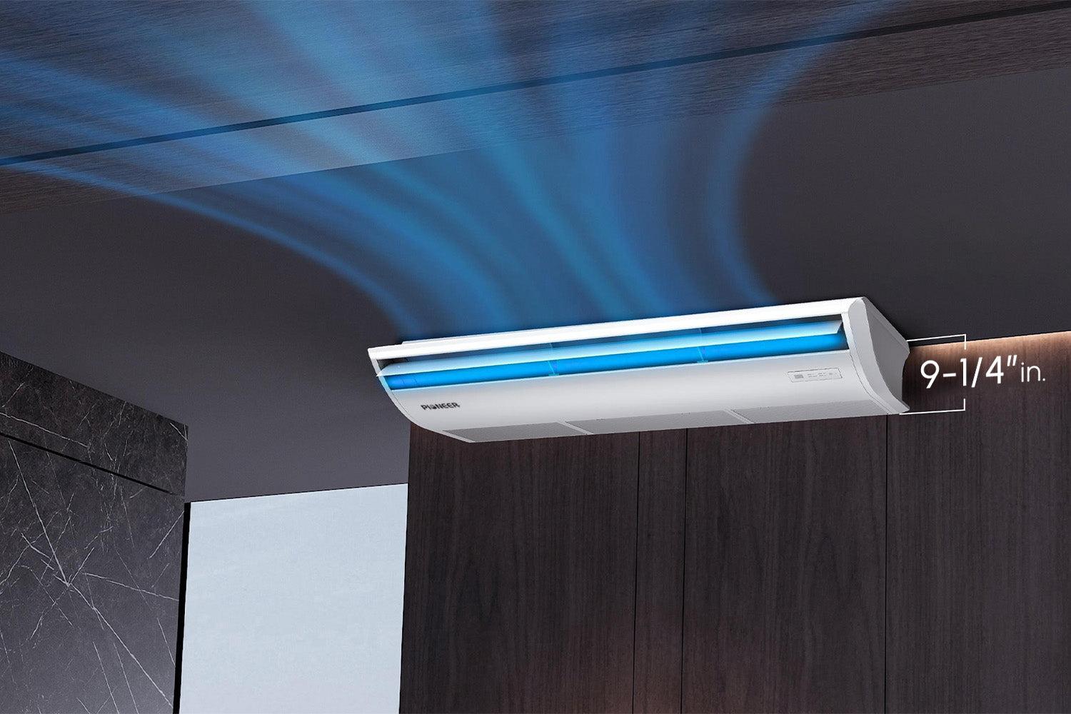 Pioneer Official Store